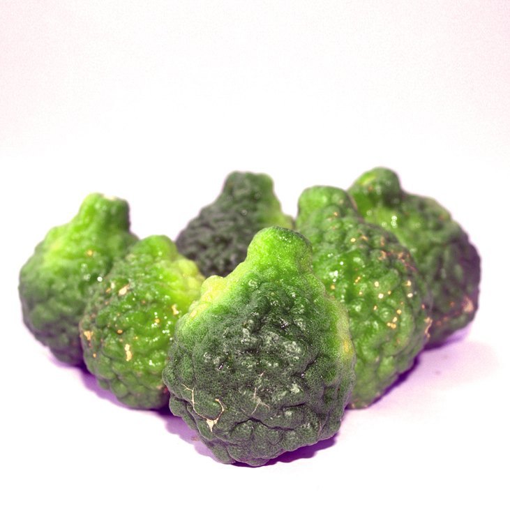 Bergamota