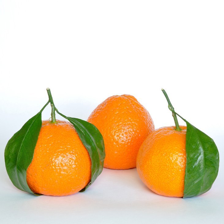 Mandarina Roja